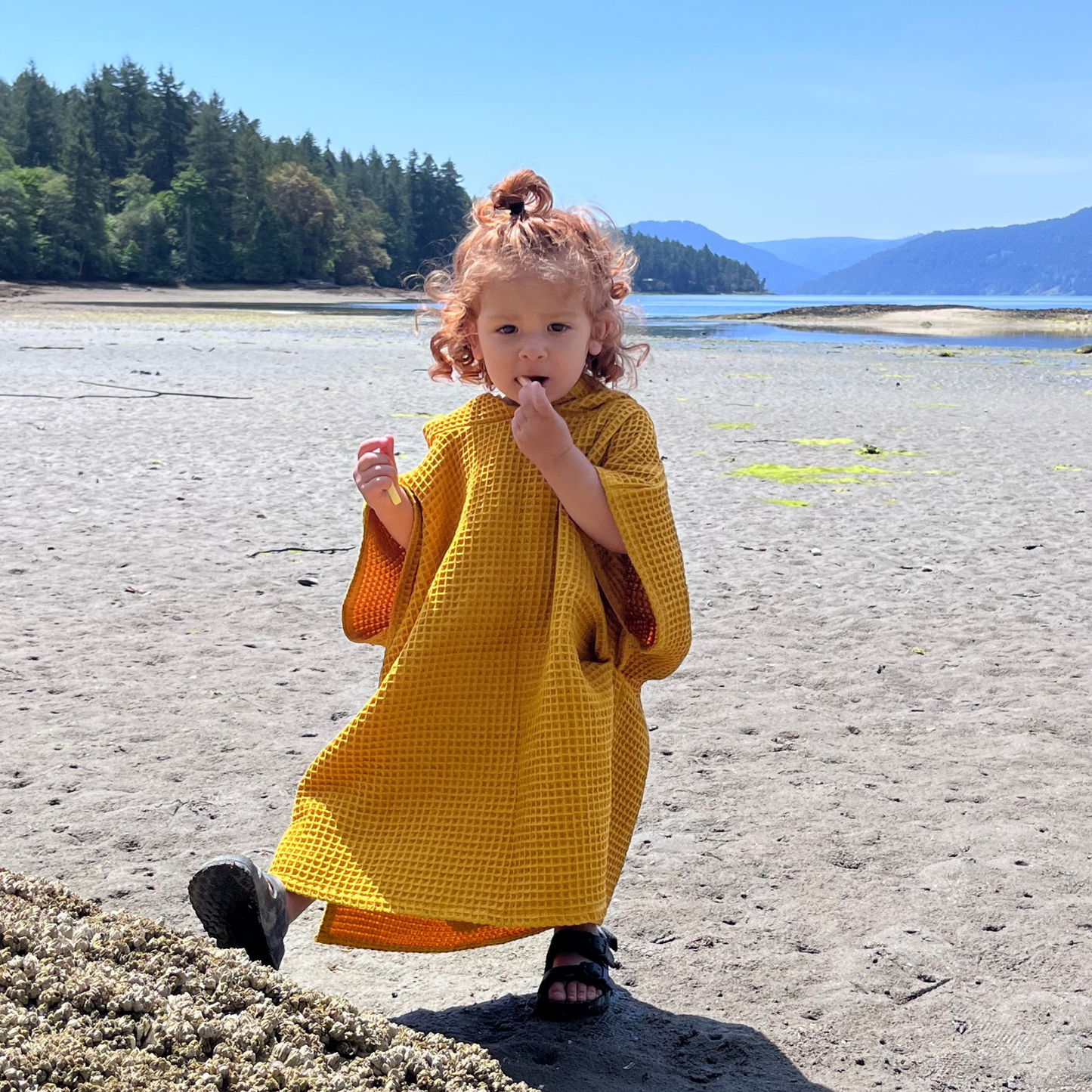 SUMMER BLOWOUT- Organic Cotton Beach Poncho